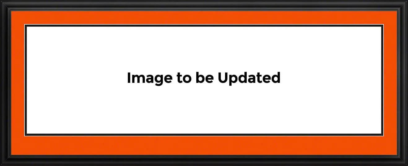 Cincinnati Bengals - 50 Yard Line - Deluxe Frame - 757 Sports Collectibles