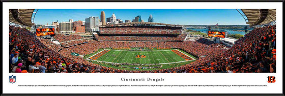 Cincinnati Bengals - 50 Yard Line - Framed - 757 Sports Collectibles
