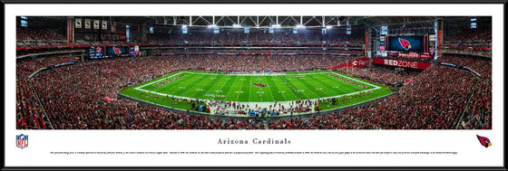 Arizona Cardinals - 50 Yard Line - Standard Frame - 757 Sports Collectibles