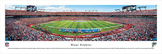 Miami Dolphins Panoramic Photo 13.5"x40" Unframed Sun Life Stadium Picture - 757 Sports Collectibles