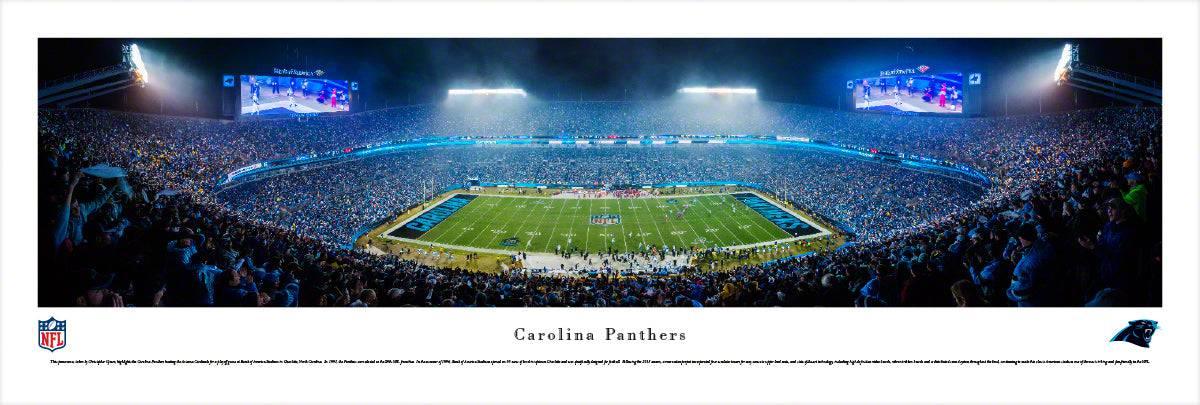 Carolina Panthers - Unframed - 757 Sports Collectibles