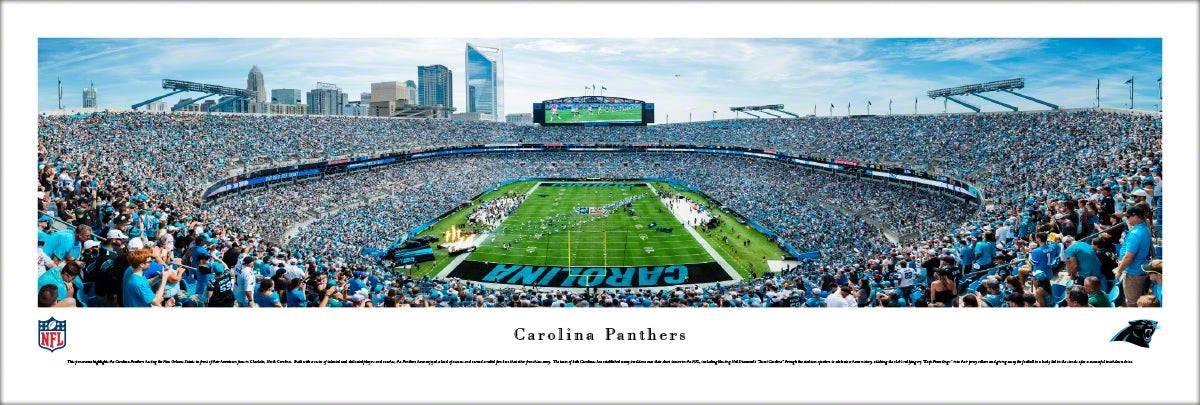 Carolina Panthers - End Zone - Unframed - 757 Sports Collectibles
