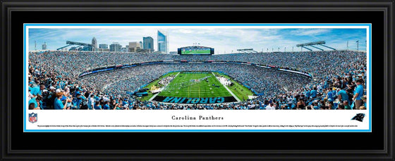 Carolina Panthers - End Zone - Deluxe Frame - 757 Sports Collectibles