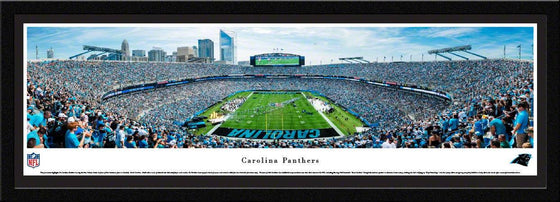 Carolina Panthers - End Zone - Select Frame - 757 Sports Collectibles