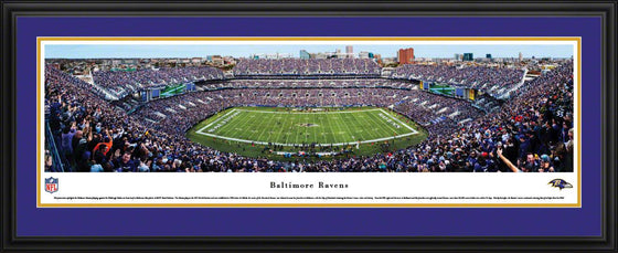 Baltimore Ravens - 50 Yard Line - Deluxe Frame - 757 Sports Collectibles