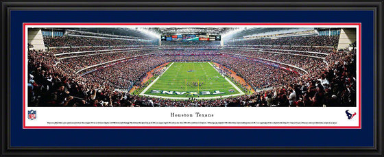 Houston Texans Panoramic Photo 17"x44" Deluxe Framed Reliant Stadium Picture End Zone - 757 Sports Collectibles