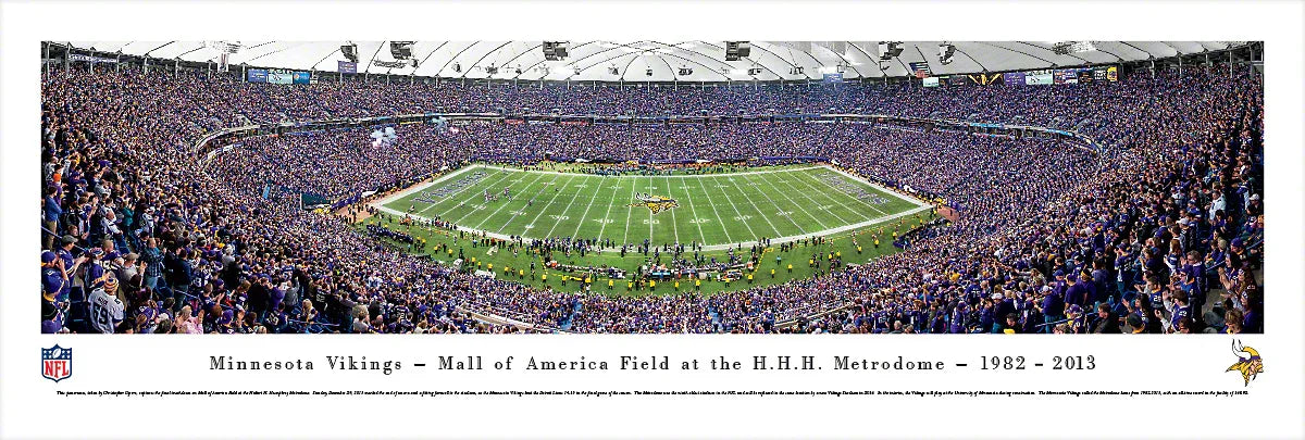 Minnesota ViKings - Final Game at the Metrodome - Unframed