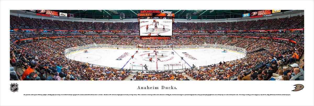 Anaheim Ducks - Center Ice - Unframed - 757 Sports Collectibles
