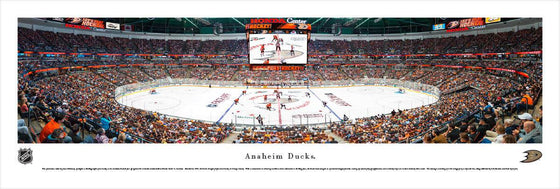Anaheim Ducks - Center Ice - Unframed - 757 Sports Collectibles