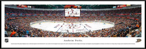 Anaheim Ducks - Center Ice - Framed - 757 Sports Collectibles