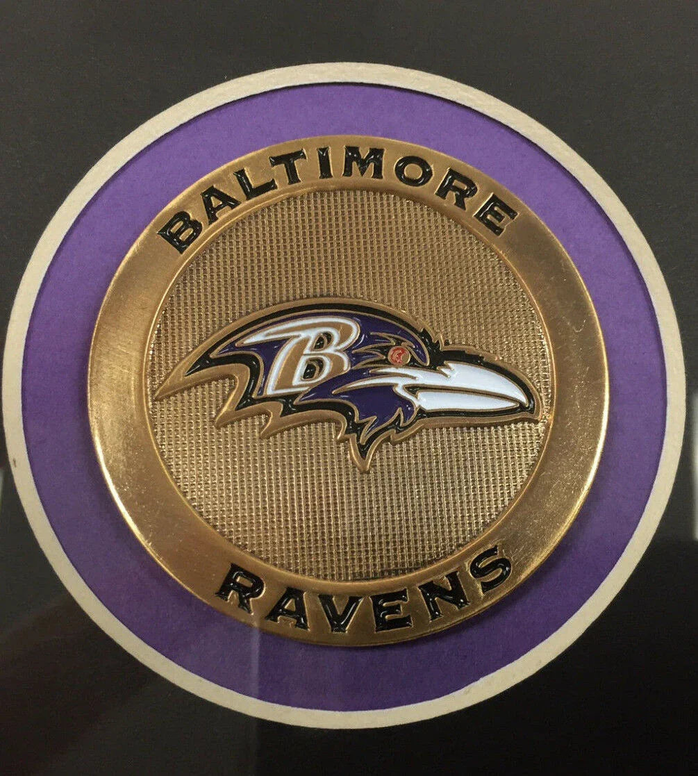 Baltimore Ravens Medallion Frame Kit 16x20 Photo Double Mat Horizontal