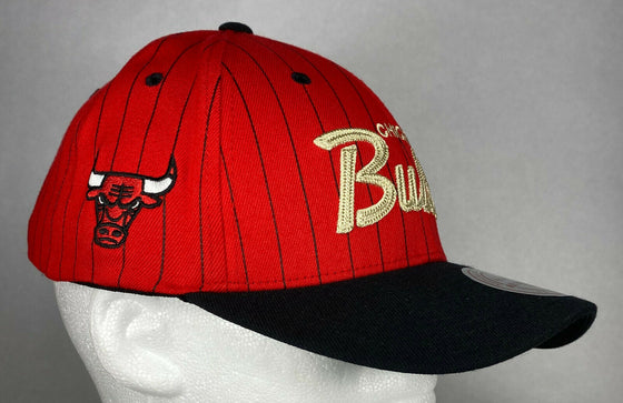 Mitchell and Ness NBA Chicago Bulls Team Script Snapback Hat, Cap, New