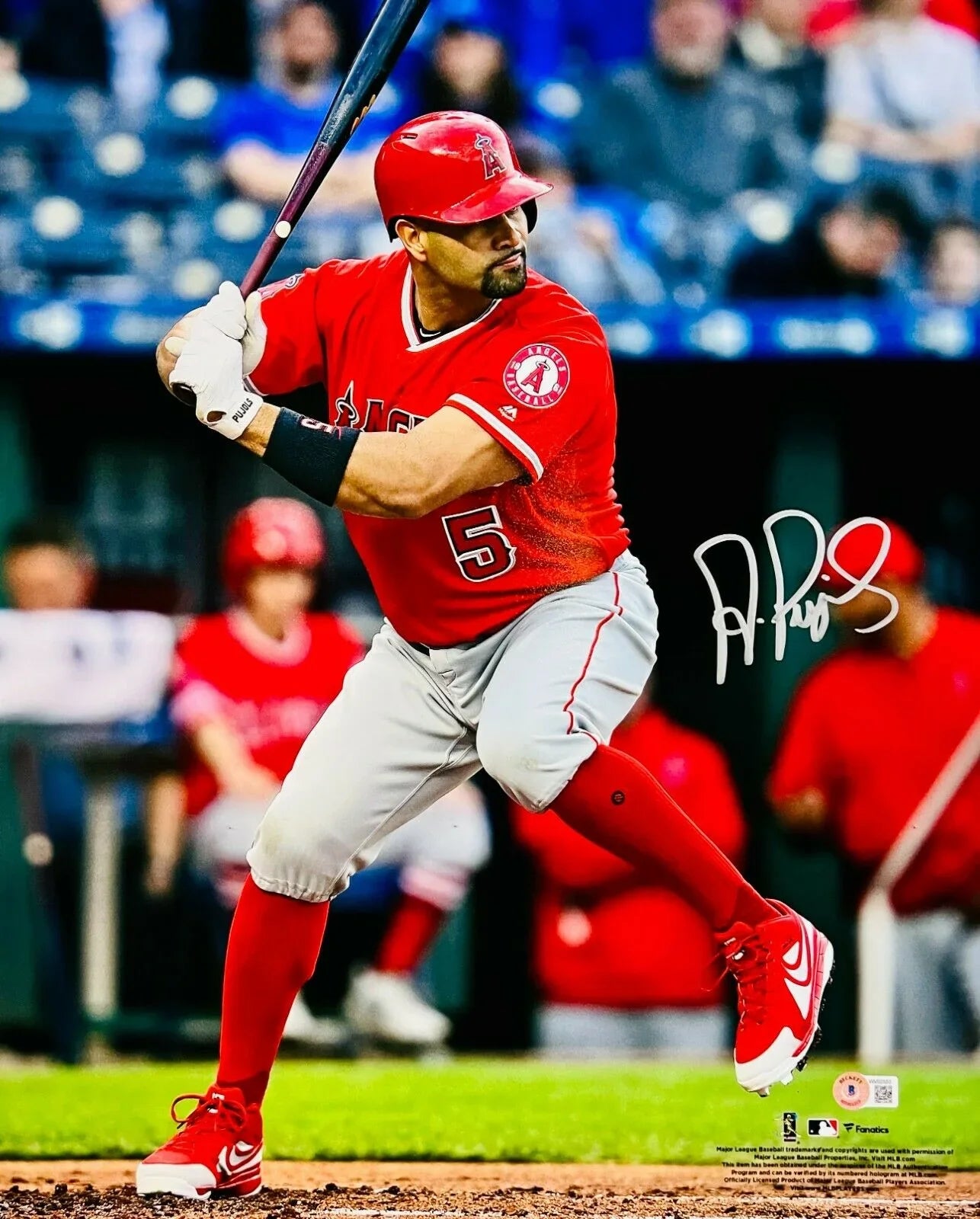 Los Angeles Angels Albert Pujols Signed Autograph 16x20 Photo BAS Beckett W COA - 757 Sports Collectibles