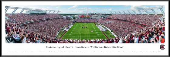 South Carolina Gamecocks Football - End Zone at Williams-Brice Stadium - Standard Frame - 757 Sports Collectibles