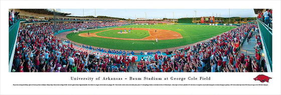 Arkansas Baseball - Unframed - 757 Sports Collectibles