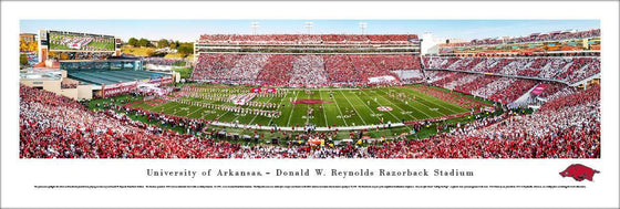 Arkansas Razorback Football - Stripe - Unframed - 757 Sports Collectibles