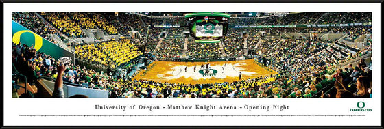 Oregon Basketball - Matt Arena - Standard Frame - 757 Sports Collectibles