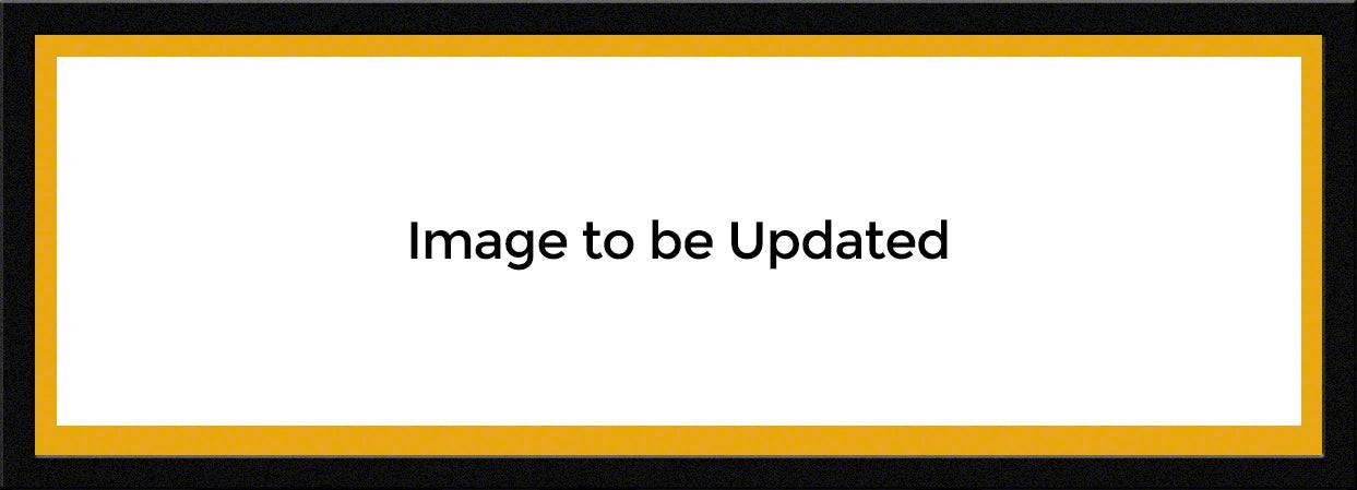 Southern Mississippi Football - Select Frame - 757 Sports Collectibles